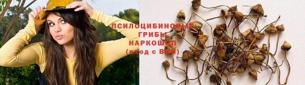 мет Абаза