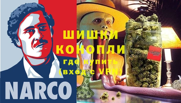 индика Михайловка