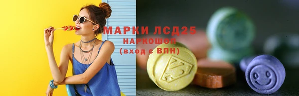 индика Михайловка