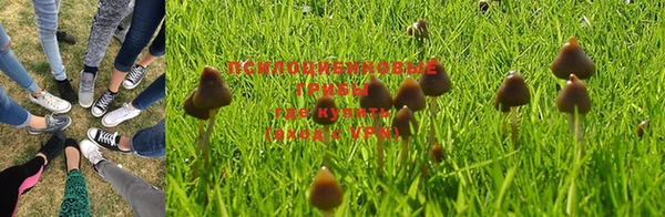 стаф Абинск